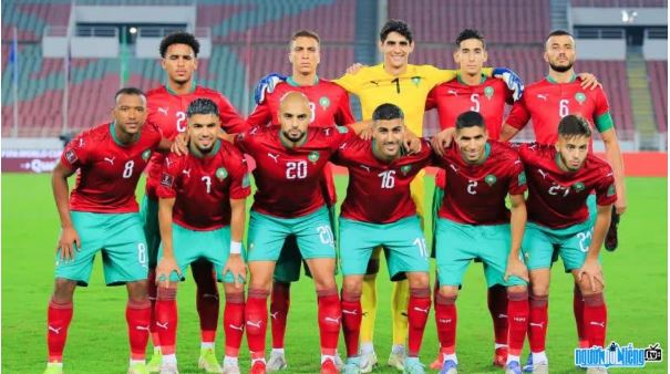 Khái Niệm Ngựa Ô Tại World Cup